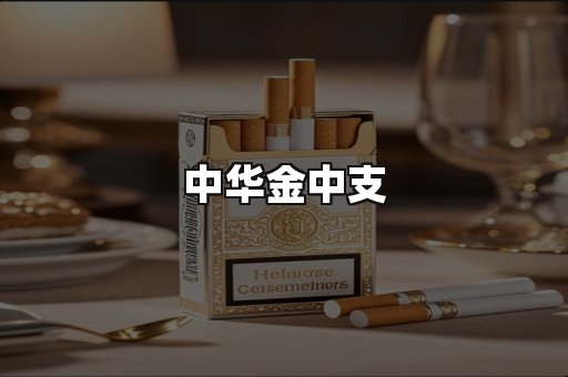 中华金中支